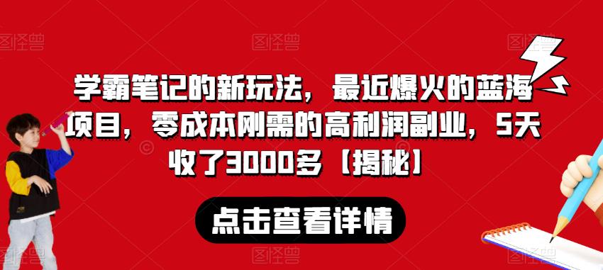 学霸笔记的新玩法，最近爆火的蓝海项目，零成本刚需的高利润副业，5天收了3000多【揭秘】-温暖资源库