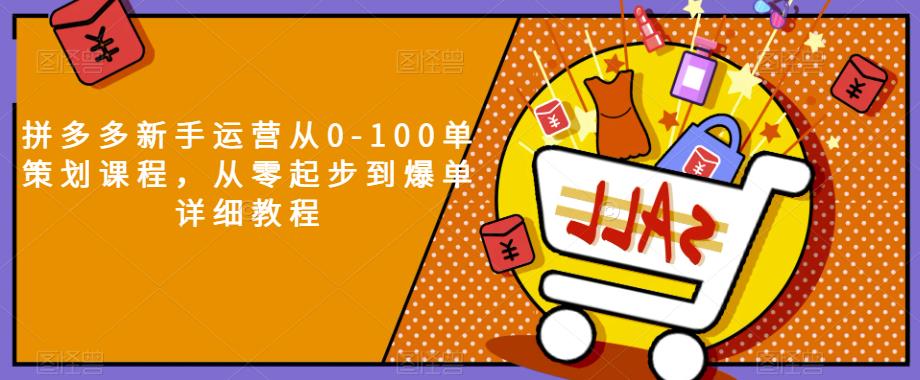 拼多多新手运营从0-100单策划课程，从零起步到爆单详细教程-温暖资源库