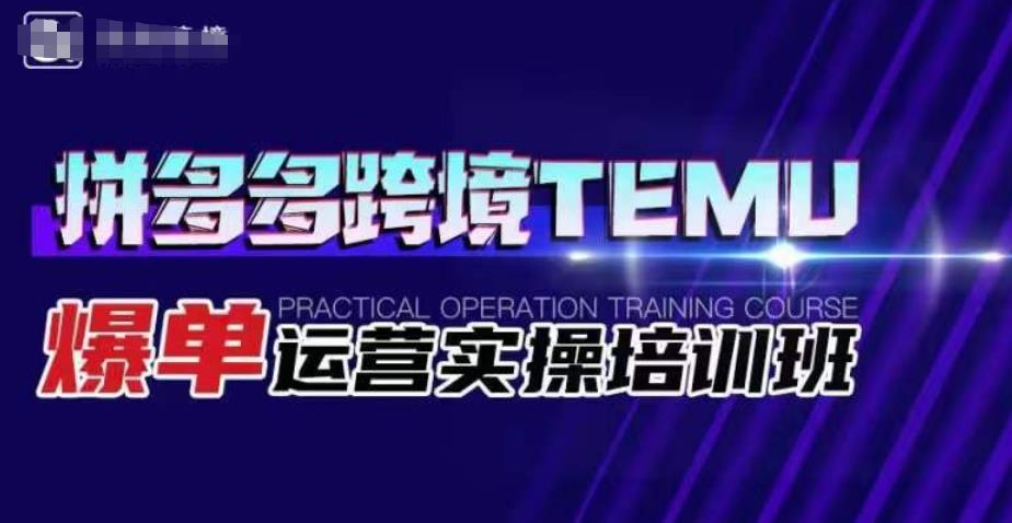 拼多多跨境TEMU爆单运营实操培训班，海外拼多多的选品、运营、爆单-温暖资源库