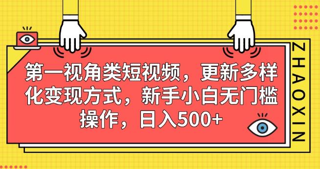 第一视角类短视频，更新多样化变现方式，新手小白无门槛操作，日入500+【揭秘】-温暖资源库