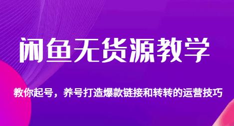 闲鱼无货源教学，教你起号，养号打造爆款链接以及转转的运营技巧-温暖资源库
