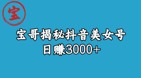 宝哥揭秘抖音美女号玩法，日赚3000+【揭秘】-温暖资源库