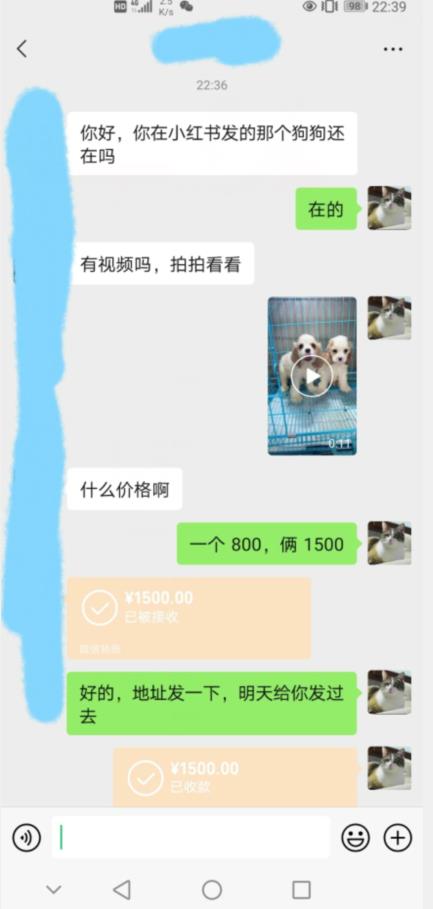 外边收费3980的同城萌宠项目，用最冷门的玩法冲击最热门的市场【揭秘】-温暖资源库