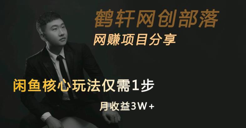 闲鱼核心玩法不卖货也能1年变现20W，玩法简单-温暖资源库