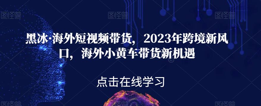 黑冰·海外短视频带货，2023年跨境新风口，海外小黄车带货新机遇-温暖资源库