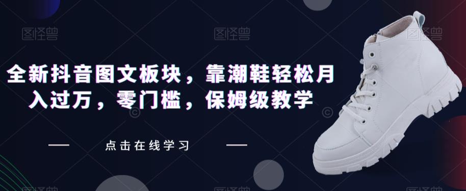 全新抖音图文板块，靠潮鞋轻松月入过万，零门槛，保姆级教学【揭秘】-温暖资源库