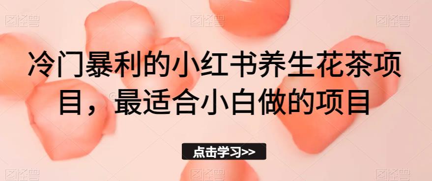 冷门暴利的小红书养生花茶项目，最适合小白做的项目【揭秘】-温暖资源库