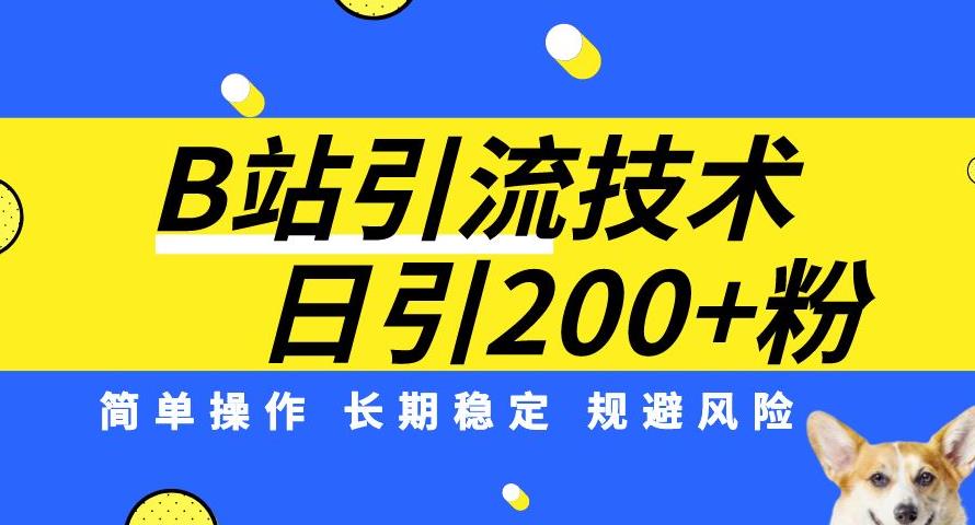 B站引流技术：每天引流200精准粉，简单操作，长期稳定，规避风险-温暖资源库