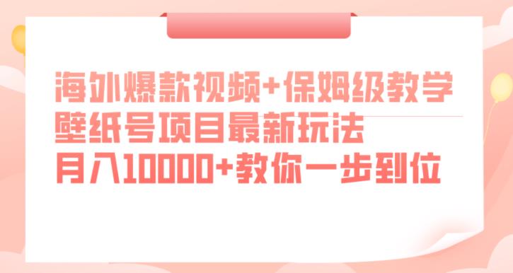 海外爆款视频+保姆级教学，壁纸号项目最新玩法，月入10000+教你一步到位【揭秘】-温暖资源库