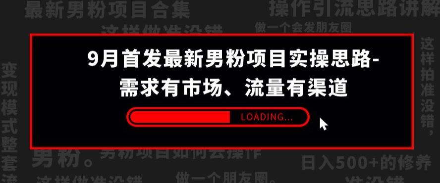 9月首发最新男粉项目实操思路-需求有市场，流量有渠道【揭秘】-温暖资源库