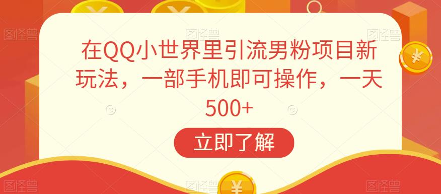 在QQ小世界里引流男粉项目新玩法，一部手机即可操作，一天500+【揭秘】-温暖资源库
