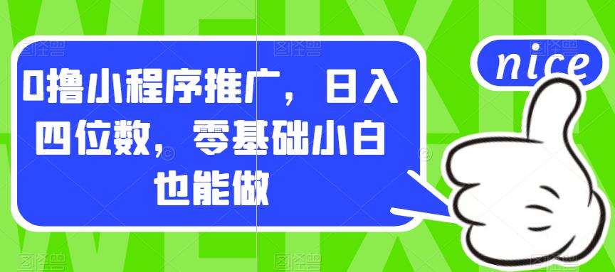 0撸小程序推广，日入四位数，零基础小白也能做【揭秘】-温暖资源库
