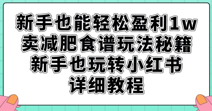 新手也能轻松盈利1w，卖减肥食谱玩法秘籍，新手也玩转小红书详细教程【揭秘】-温暖资源库