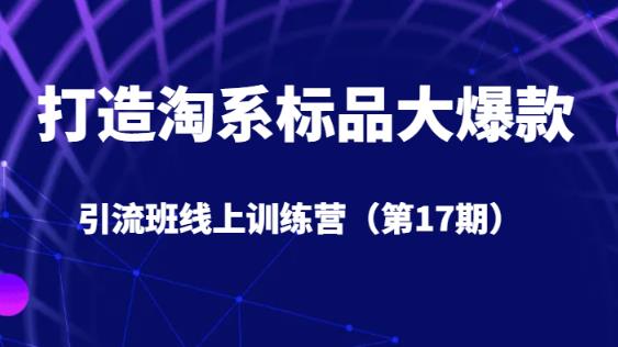 打造淘系标品大爆款引流班线上训练营（第17期）5天直播授课-温暖资源库