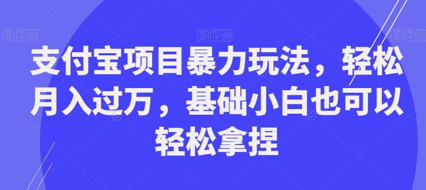 支付宝项目暴力玩法，轻松月入过万，基础小白也可以轻松拿捏【揭秘】-温暖资源库