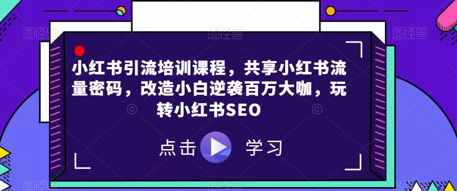 小红书引流培训课程，共享小红书流量密码，改造小白逆袭百万大咖，玩转小红书SEO-温暖资源库