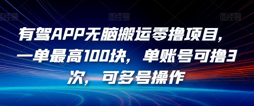 有驾APP无脑搬运零撸项目，一单最高100块，单账号可撸3次，可多号操作【揭秘】-温暖资源库