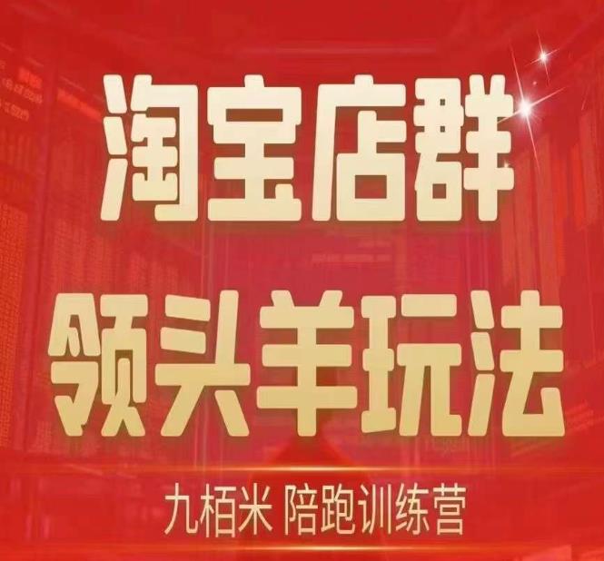 九栢米-淘宝店群领头羊玩法，教你整个淘宝店群领头羊玩法以及精细化/终极蓝海/尾销等内容-温暖资源库