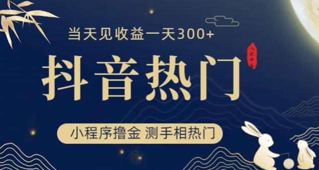 抖音最新小程序撸金，测手相上热门，当天见收益一小时变现300+【揭秘】-温暖资源库