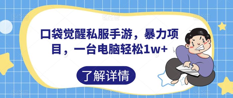 口袋觉醒私服手游，暴力项目，一台电脑轻松1w+【揭秘】-温暖资源库