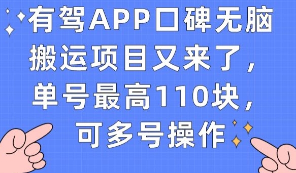 有驾APP口碑无脑搬运项目又来了，单号最高110块，可多号操作-温暖资源库