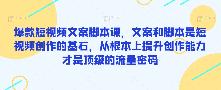 爆款短视频文案脚本课，文案和脚本是短视频创作的基石，从根本上提升创作能力才是顶级的流量密码-温暖资源库