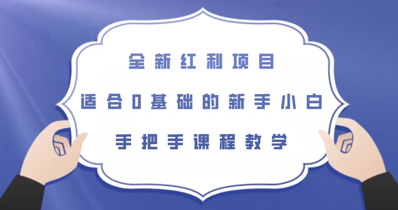 全新红利项目，适合0基础的新手小白，手把手课程教学【揭秘】-温暖资源库