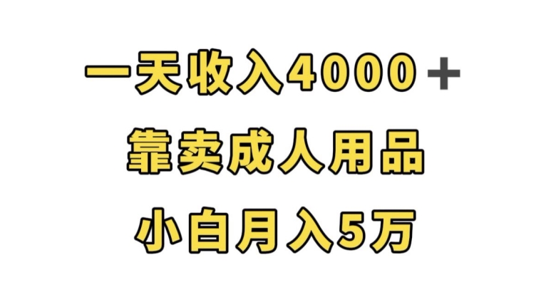 一天收入4000+，靠卖成人用品，小白轻松月入5万【揭秘】-温暖资源库