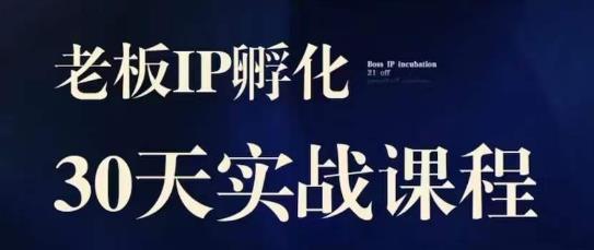 诸葛·2023老板IP实战课，实体同城引流获客，IP孵化必听-温暖资源库