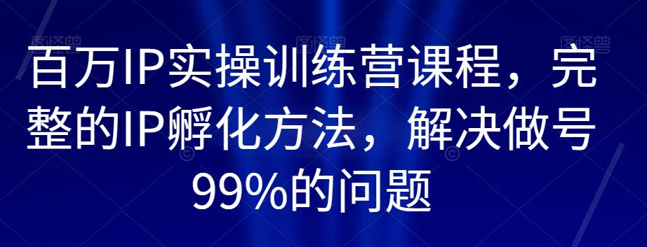 百万IP实操训练营课程，完整的IP孵化方法，解决做号99%的问题-温暖资源库