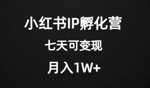 价值2000+的小红书IP孵化营项目，超级大蓝海，七天即可开始变现，稳定月入1W+-温暖资源库
