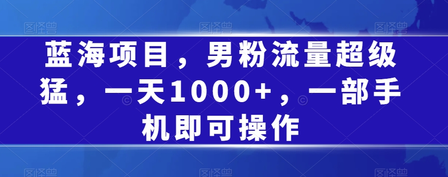 蓝海项目，男粉流量超级猛，一天1000+，一部手机即可操作【揭秘】-温暖资源库
