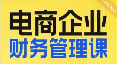 电商企业财务管理线上课，为电商企业规划财税-温暖资源库