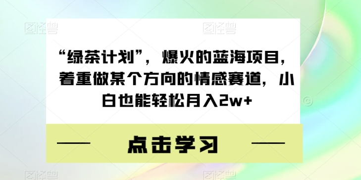 “绿茶计划”，爆火的蓝海项目，着重做某个方向的情感赛道，小白也能轻松月入2w+【揭秘】-温暖资源库