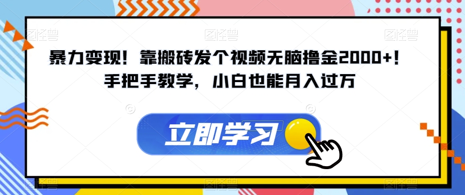 暴力变现！靠搬砖发个视频无脑撸金2000+！手把手教学，小白也能月入过万【揭秘】-温暖资源库