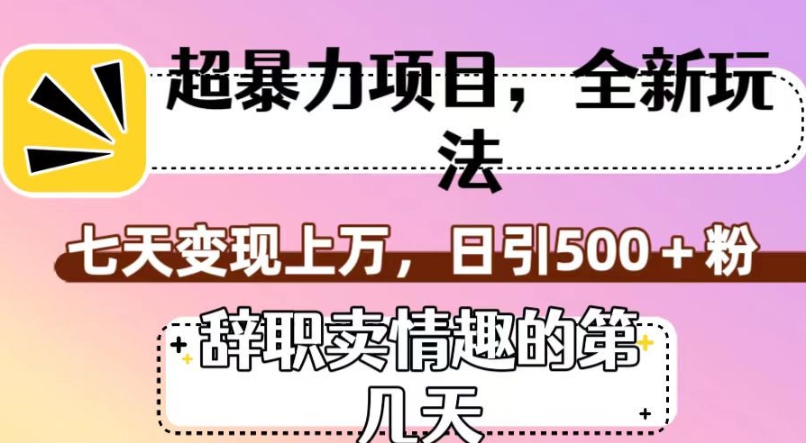 超暴利项目，全新玩法（辞职卖情趣的第几天），七天变现上万，日引500+粉【揭秘】-温暖资源库