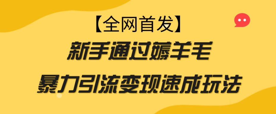 【全网首发】新手通过薅羊毛暴力引流变现速成玩法-温暖资源库
