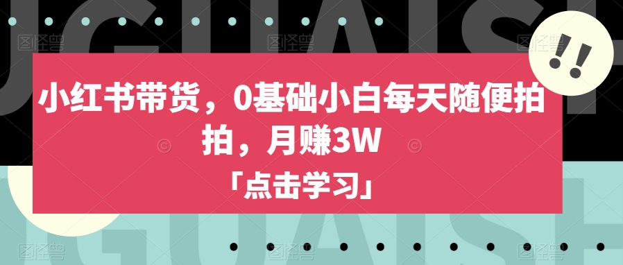 小红书带货，0基础小白每天随便拍拍，月赚3W【揭秘】-温暖资源库