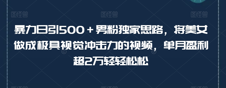 暴力日引500＋男粉独家思路，将美女做成极具视觉冲击力的视频，单月盈利超2万轻轻松松-温暖资源库