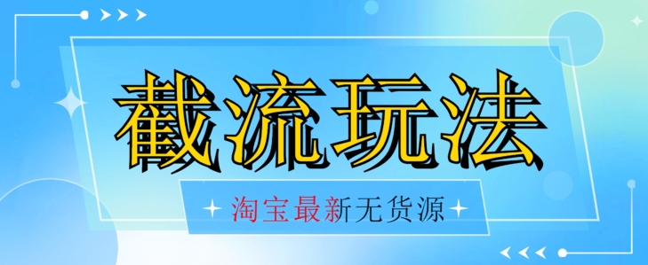 首发价值2980最新淘宝无货源不开车自然流超低成本截流玩法日入300+【揭秘】-温暖资源库
