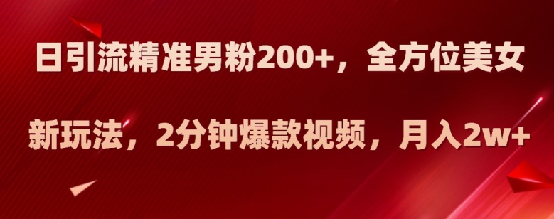 日引流精准男粉200+，全方位美女新玩法，2分钟爆款视频，月入2w+【揭秘】-温暖资源库