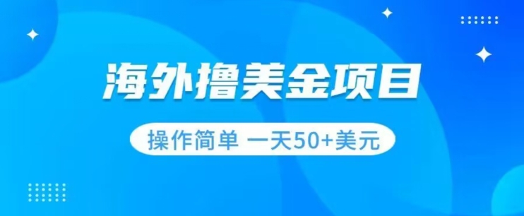 撸美金项目无门槛操作简单小白一天50+美刀-温暖资源库