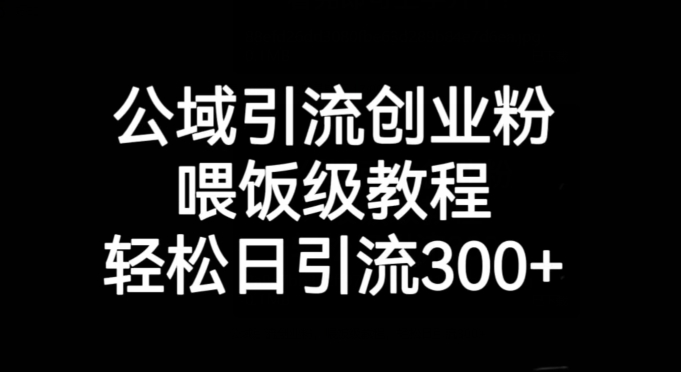 公域引流创业粉，喂饭级教程，轻松日引流300+【揭秘】-温暖资源库