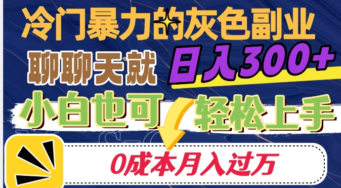 冷门暴利的副业项目，聊聊天就能日入300+，0成本月入过万【揭秘】-温暖资源库