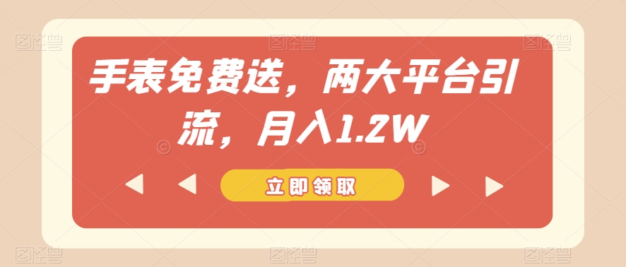 手表免费送，两大平台引流，月入1.2W【揭秘】-温暖资源库