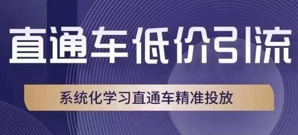 直通车低价引流课，系统化学习直通车精准投放-温暖资源库