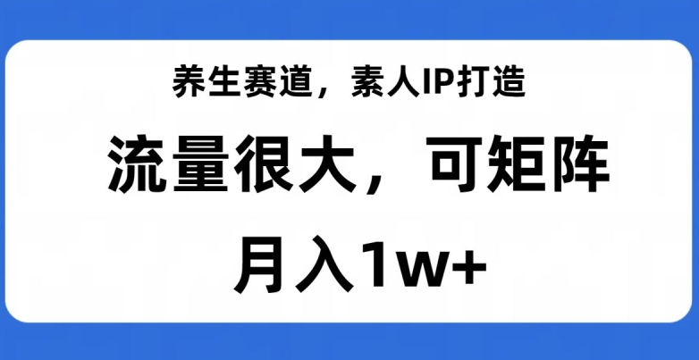 养生赛道，素人IP打造，流量很大，可矩阵，月入1w+【揭秘】-温暖资源库