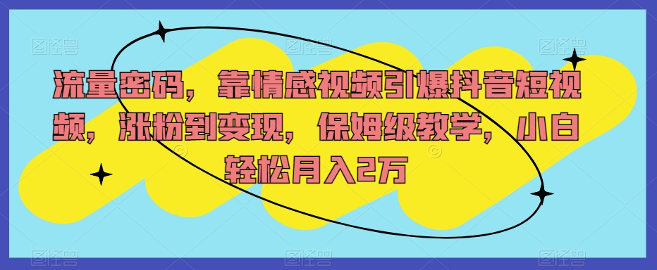 流量密码，靠情感视频引爆抖音短视频，涨粉到变现，保姆级教学，小白轻松月入2万【揭秘】-温暖资源库