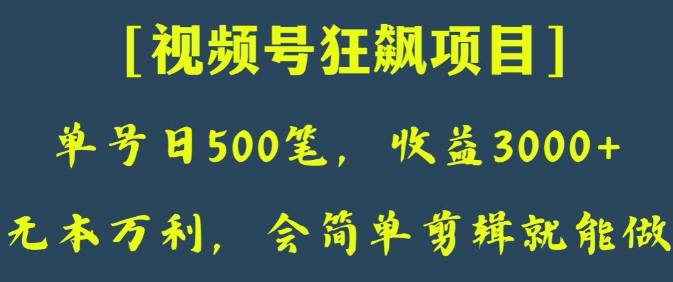 日收款500笔，纯利润3000+，视频号狂飙项目，会简单剪辑就能做【揭秘】-温暖资源库