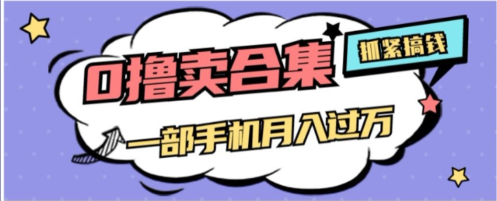 0撸项目月入过万，售卖全套ai工具合集，一单29.9元，一部手机即可【揭秘】-温暖资源库